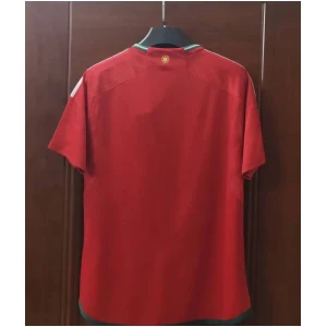 Maillot domicile du Pays de Galles Coupe du Monde de la FIFA Qatar 2022