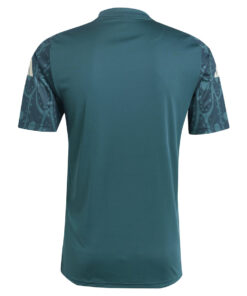 Maillot d’entraînement gris court du Mexique 2024