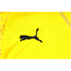 Survêtement d'entraînement Borussia Dortmund Jaune 2023/24