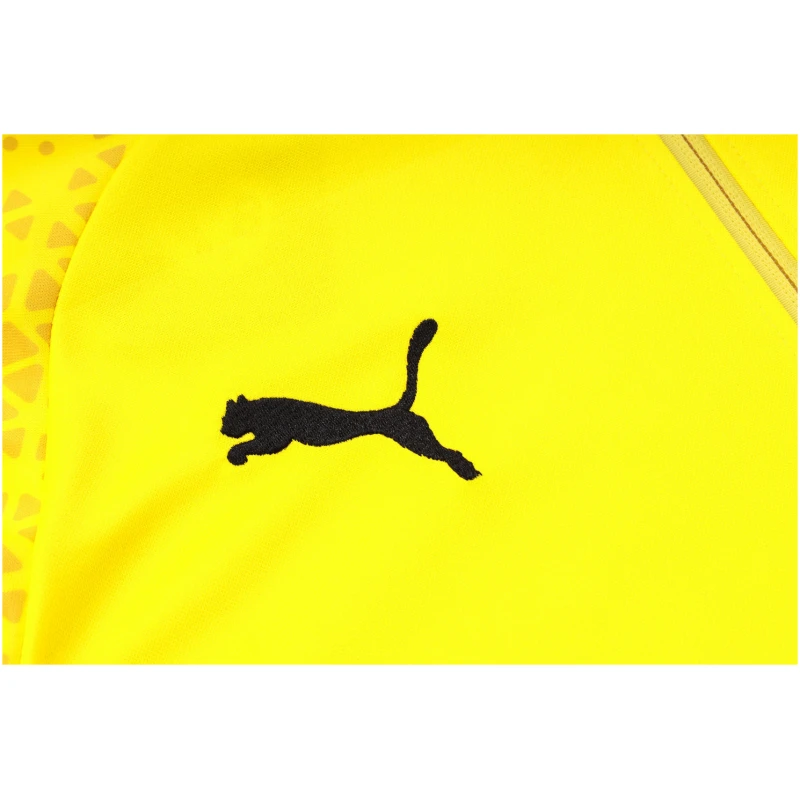 Survêtement d’entraînement Borussia Dortmund Jaune 2023/24