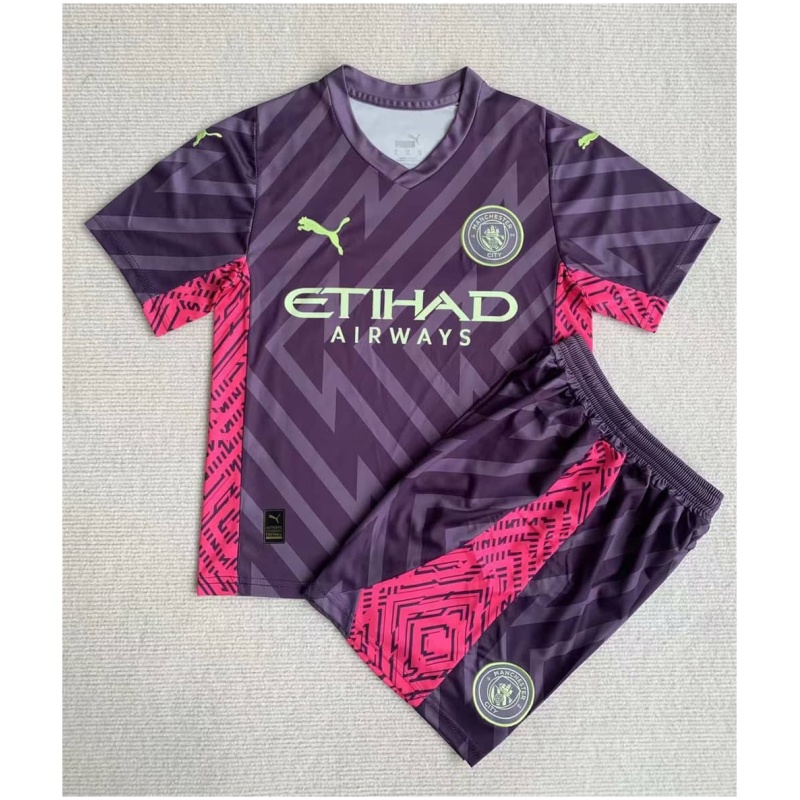 Maillot de Gardien de But Enfant Manchester City Violet 2023/24