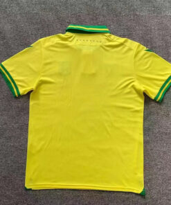 FC Nantes maillot foot domicile 2023/24-Haut