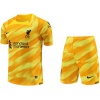 Gardien de but de Liverpool tenue jaune 2023/24