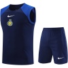 Maillot Bleu Riyadh Al-Nassr 2023/24