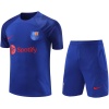 Maillot d’entraînement court Barcelone Bleu 2023/24