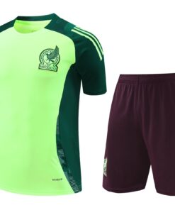 Maillot d’entraînement court du Mexique Jaune 2024