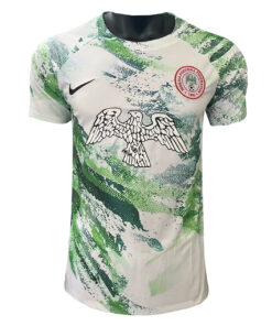 Maillot d’entraînement court du Nigeria Vert 2023/24