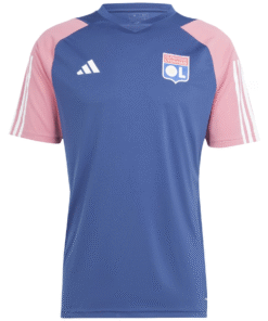 Maillot d’entraînement court Olympique Lyonnais Rouge 2023/24