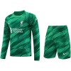 Maillot de Gardien de But Liverpool Vert Manches Longues 2023/24