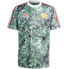 Maillot Édition Spéciale Vert de Manchester United 2024/25