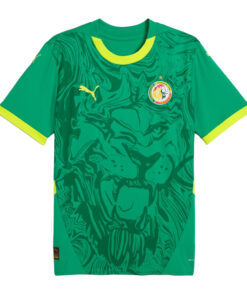 Maillot extérieur du Sénégal 2025