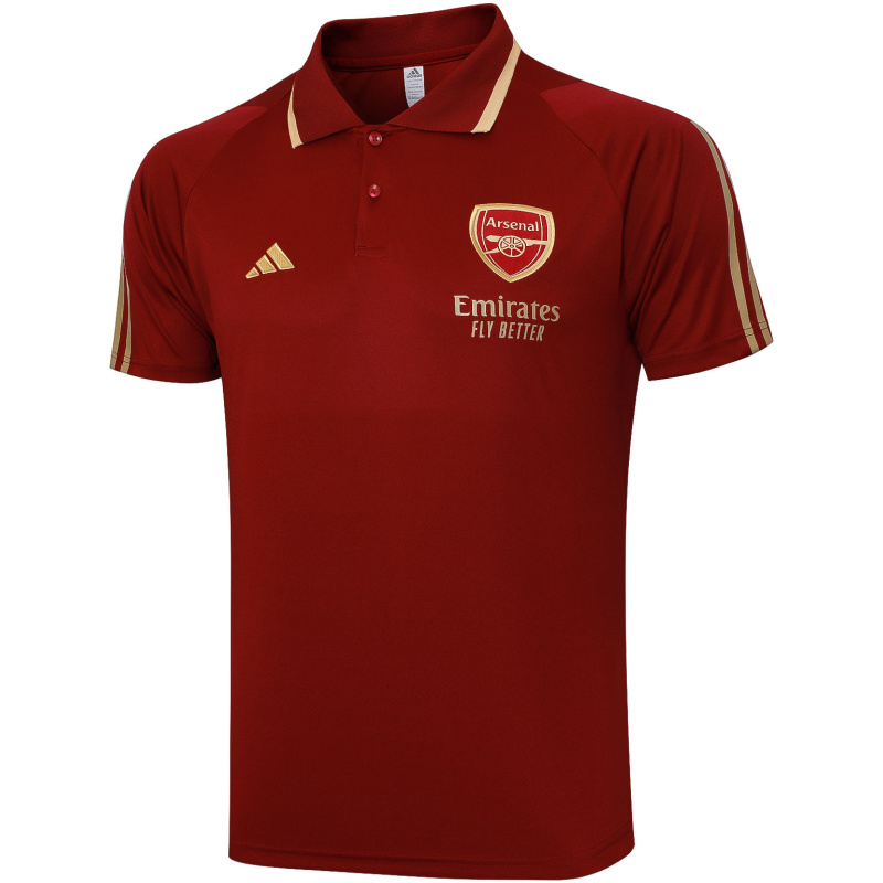 Polo Shirt Arsenal Vin 2023/24