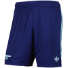 Shorts Extérieurs Arsenal 2024/25