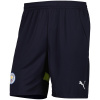Shorts Extérieurs de Manchester City 2024/25
