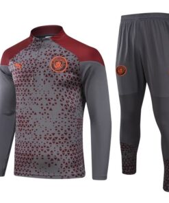 Survêtement d’entraînement Manchester City Gris 2023/24