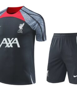 Tenue d’entraînement courte Liverpool grise 2024/25