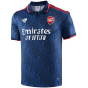 Polo Homme Arsenal Royal 2025/26
