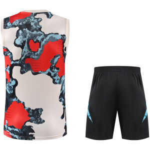 Homme Bayern Munich Ensemble Débardeur Camouflage 2025/26