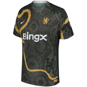 Maillot Homme Chelsea Année du Serpent Édition Spéciale Gris 2025/26