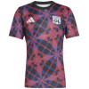 Maillot d’Entraînement Court Olympique Lyonnais Homme Rouge 2025/26