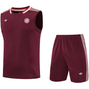 Maillot de Bayern Munich Bordeaux 2025/26 pour homme